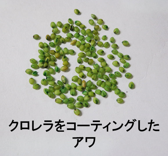 黒瀬ペットフード マイフレンド 皮むき セキセイインコ 700g×24袋