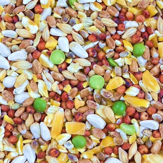 黒瀬ペットフード マイフレンド ハトのごはん 割 1kg×24袋