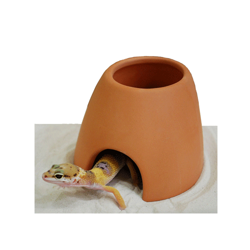 貝沼産業 しっとり潤い!ヤモリの宿(Sサイズ)×6個