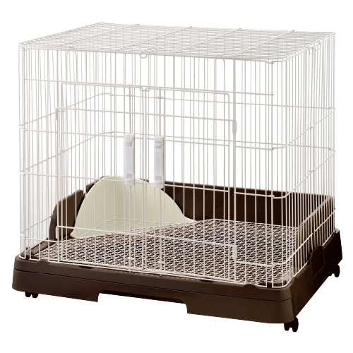 GEX ラビんぐ スマートルーム×1点