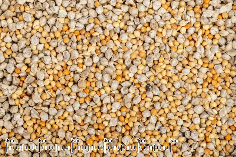 黒瀬ペットフード 国産 小鳥の主食2種ブレンド 400g×20袋