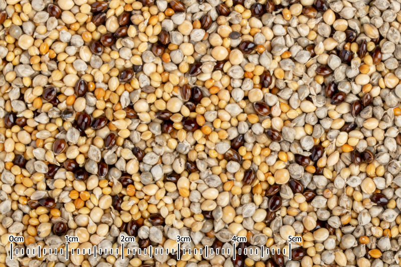 黒瀬ペットフード 国産 小鳥の主食 3種ブレンド 400g×20袋