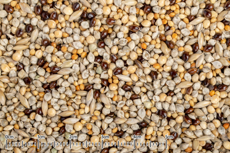 黒瀬ペットフード 国産 小鳥の主食 4種ブレンド 400g×20袋