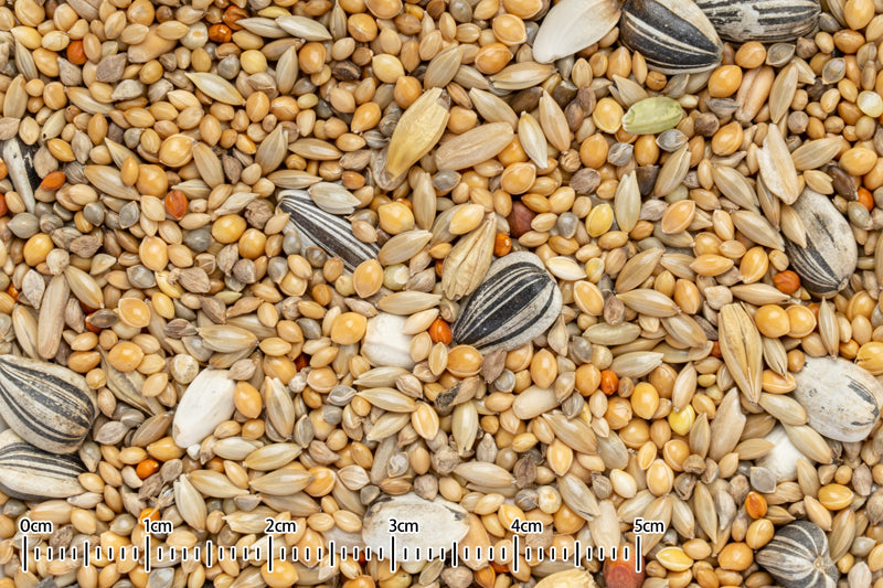 黒瀬ペットフード 自然派 野鳥ミックス 1kg×24袋