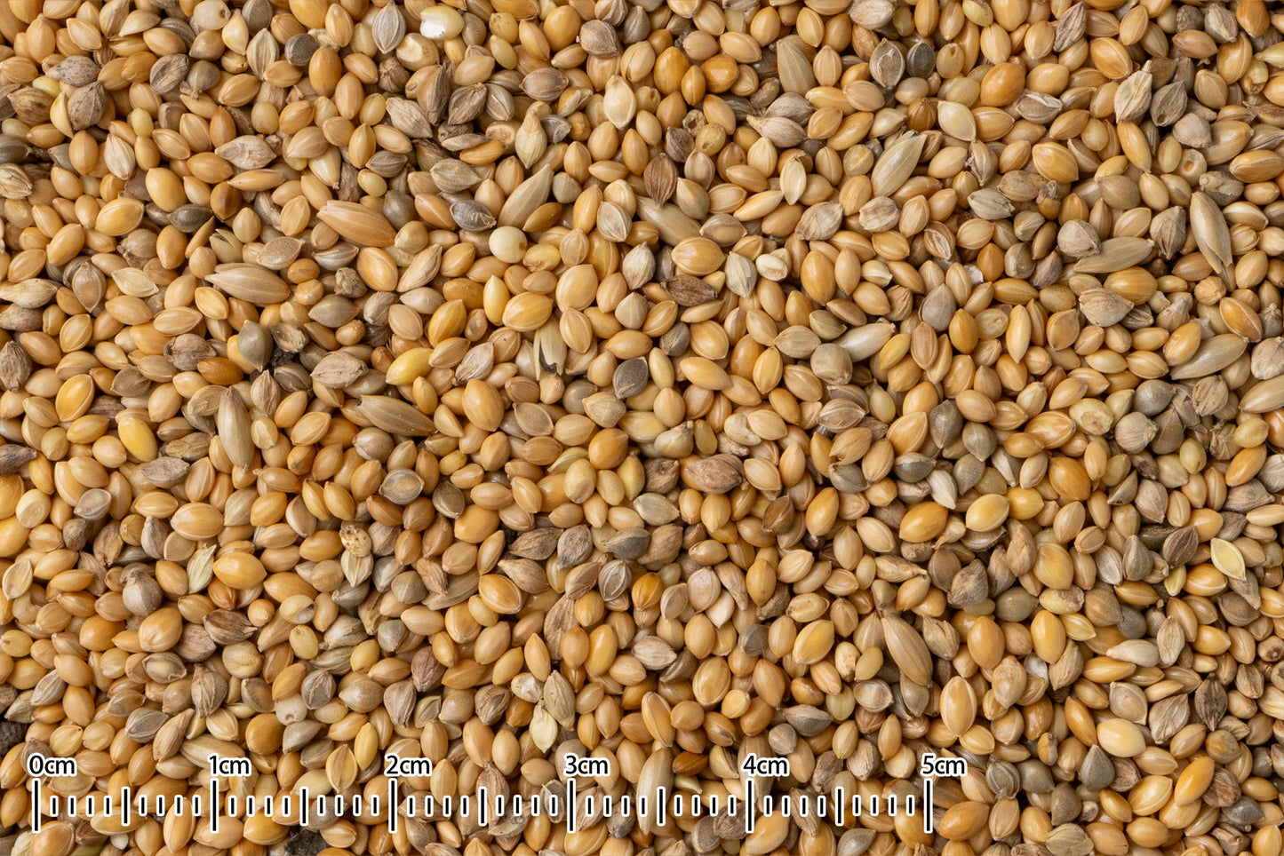 黒瀬ペットフード もぐもぐらんど カワツキ 5kg×6袋