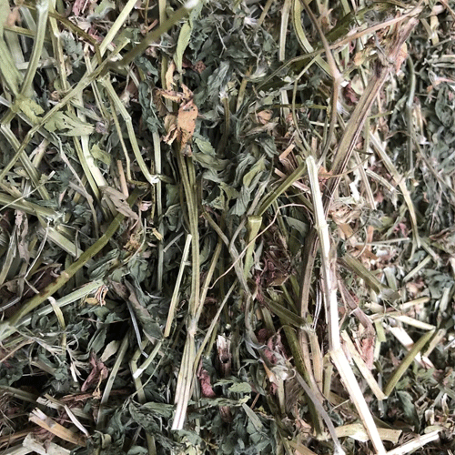 オリミツ セレクトアルファ 500g×24点