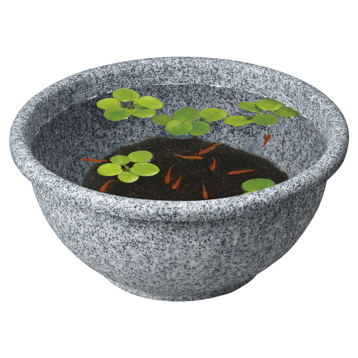 スドー メダカの丸鉢 みかげ×12鉢