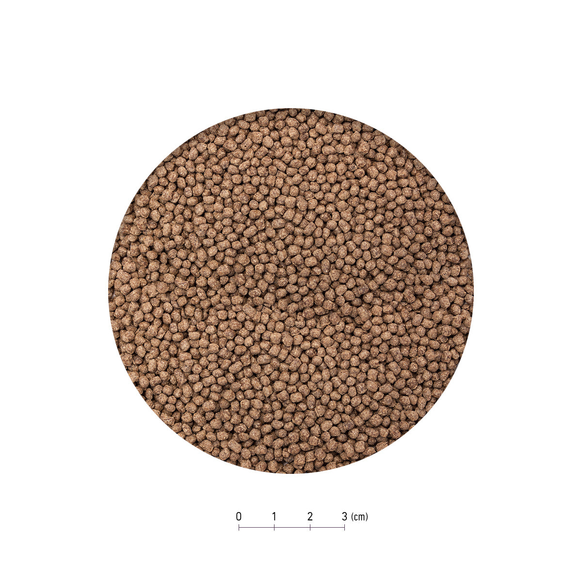 スドー 特撰金魚の餌 星更紗 小粒 1kg×12袋