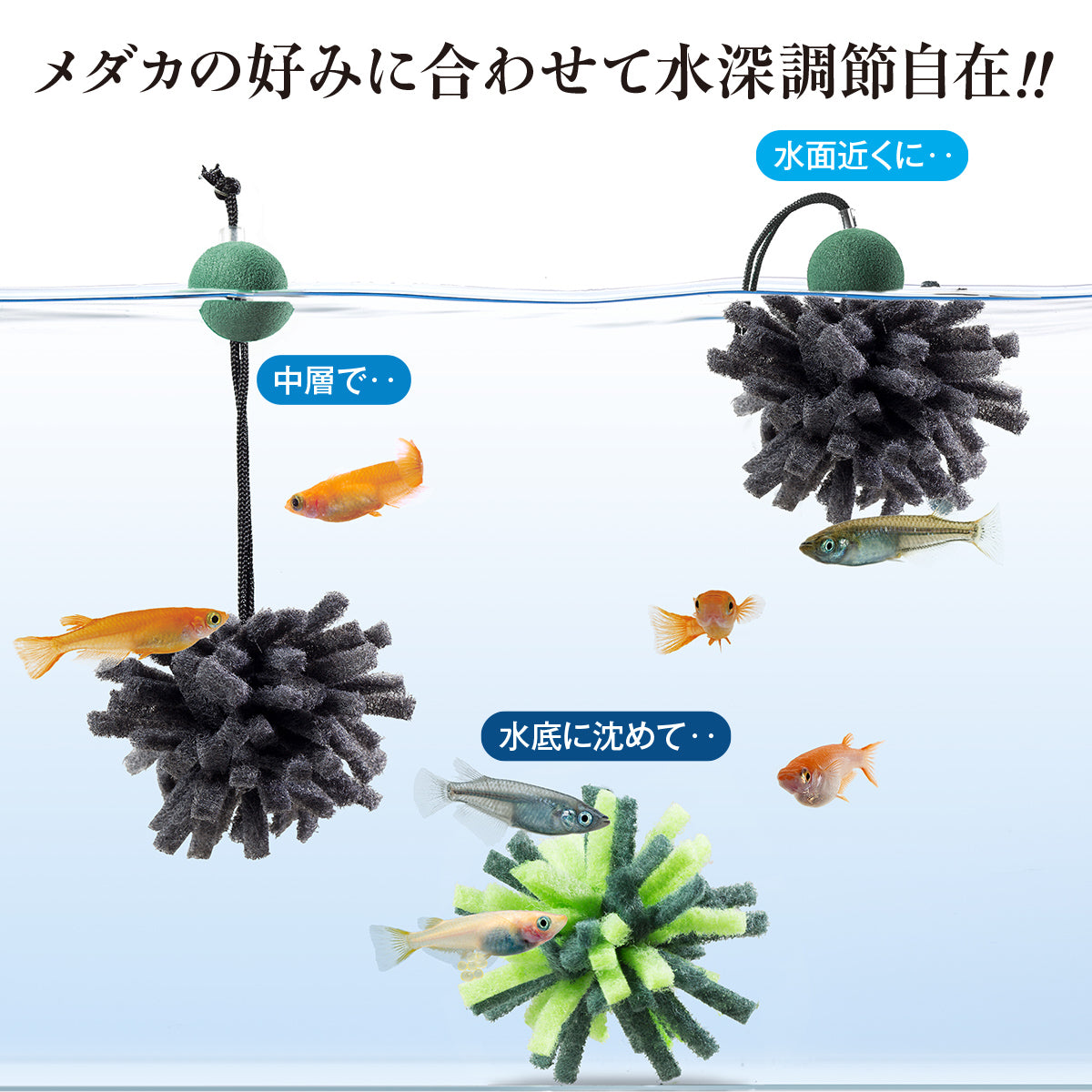 スドー メダカの産卵まり藻(特小)4個入×12袋