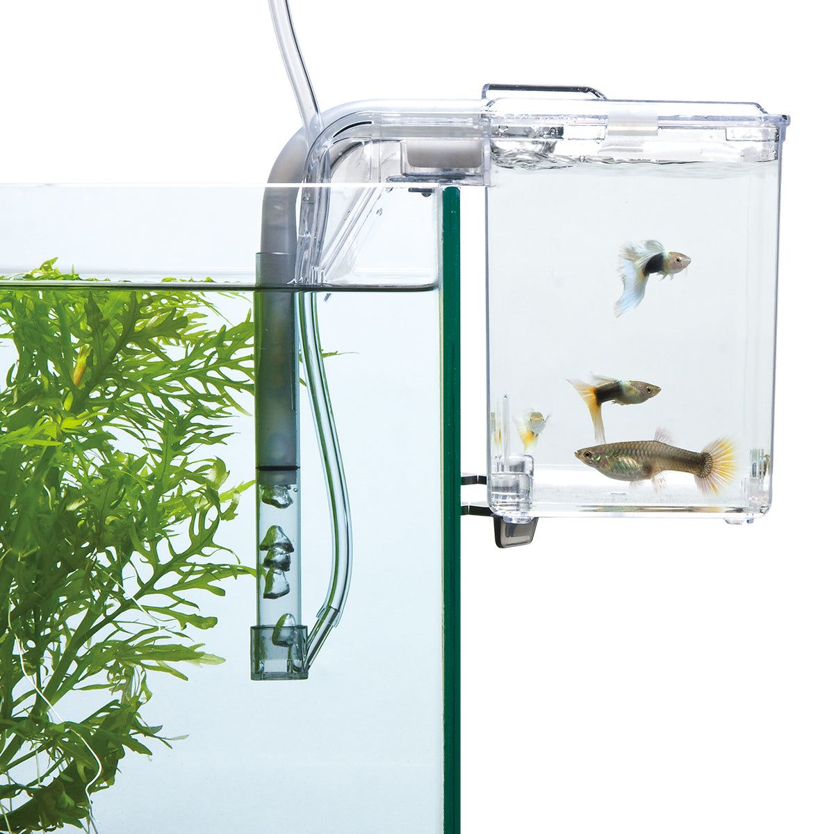 スドー サテライト L×6箱