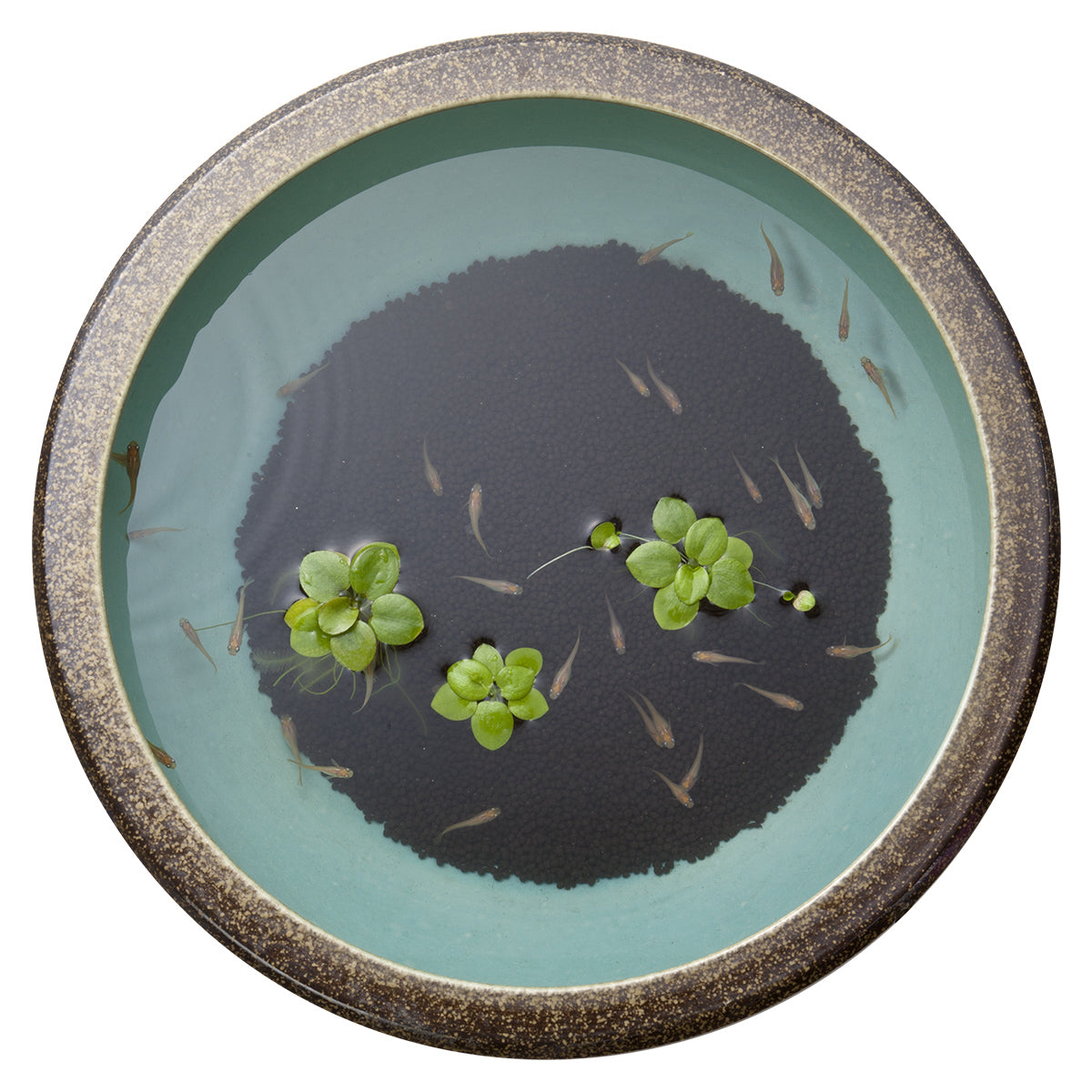 スドー メダカの天然玉土 黒 2.5L×16袋