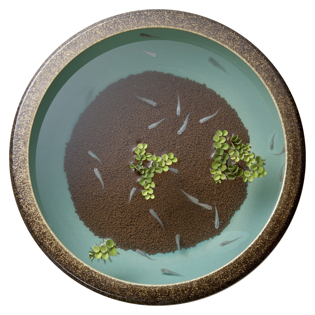 スドー メダカの天然玉土 茶 2.5L×16袋