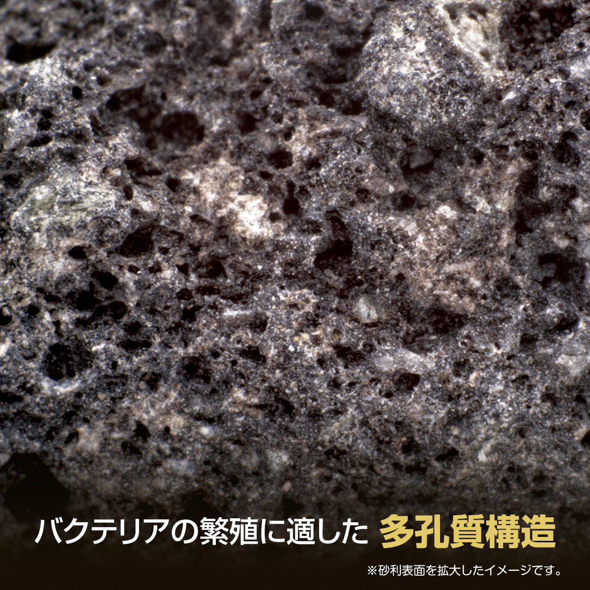 スドー メダカの特撰溶岩ジャリ 2.5㎏×12袋