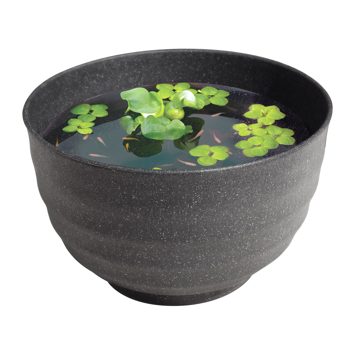 スドー メダカの雅小鉢 すみみかげ×12鉢