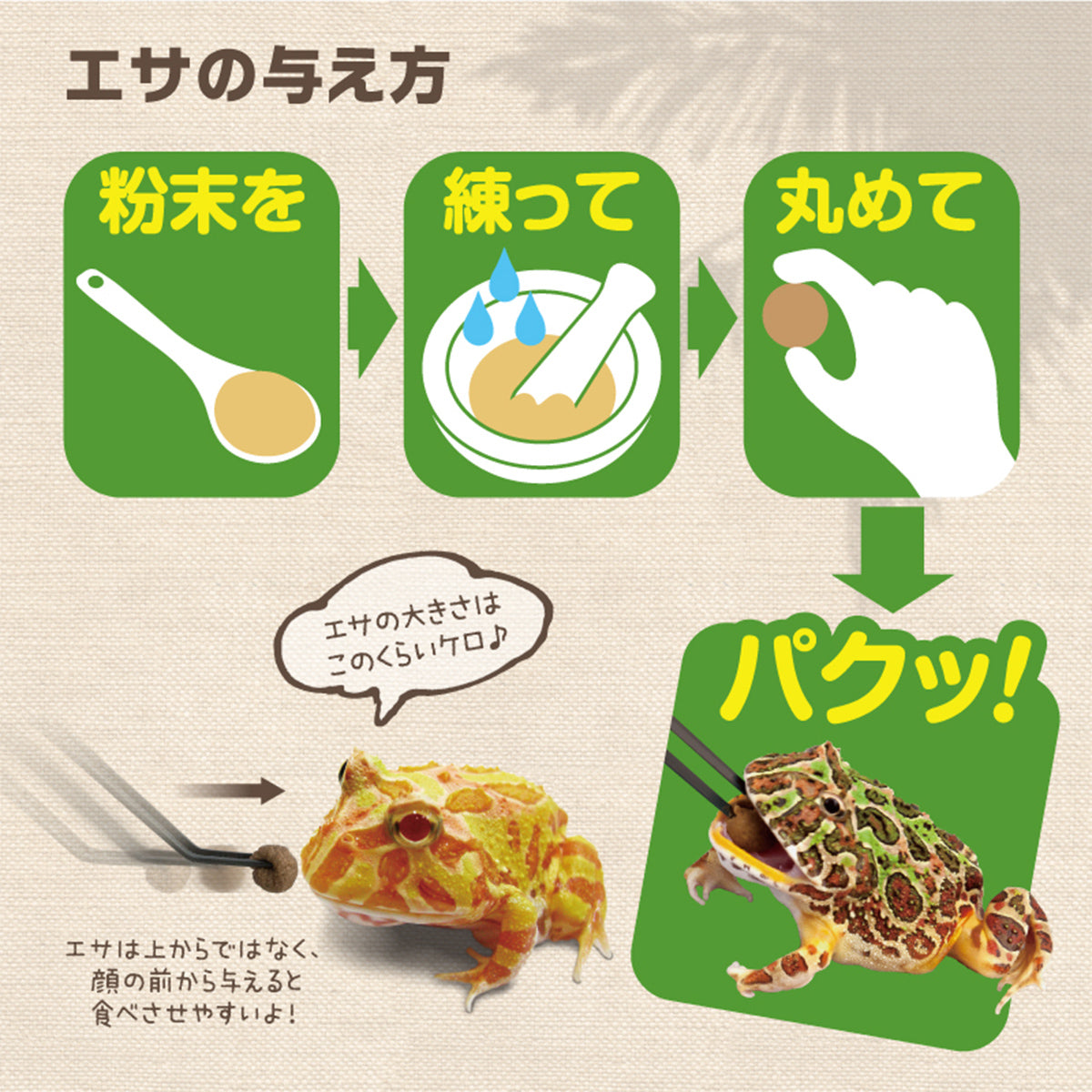 スドー フロッグステープルフード 150g×24袋