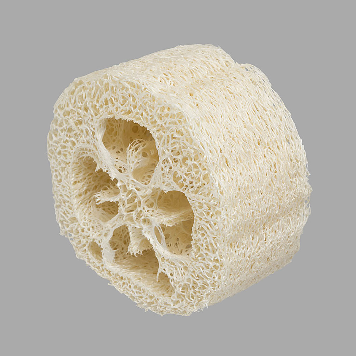 スドー あそべる輪切りへちま×48袋