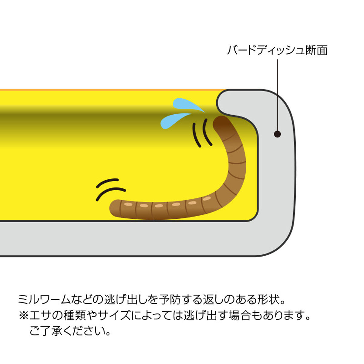 スドー バードディッシュ×30個