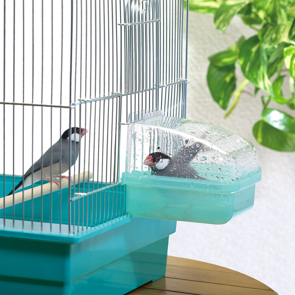 スドー 外掛式バードバス×12箱