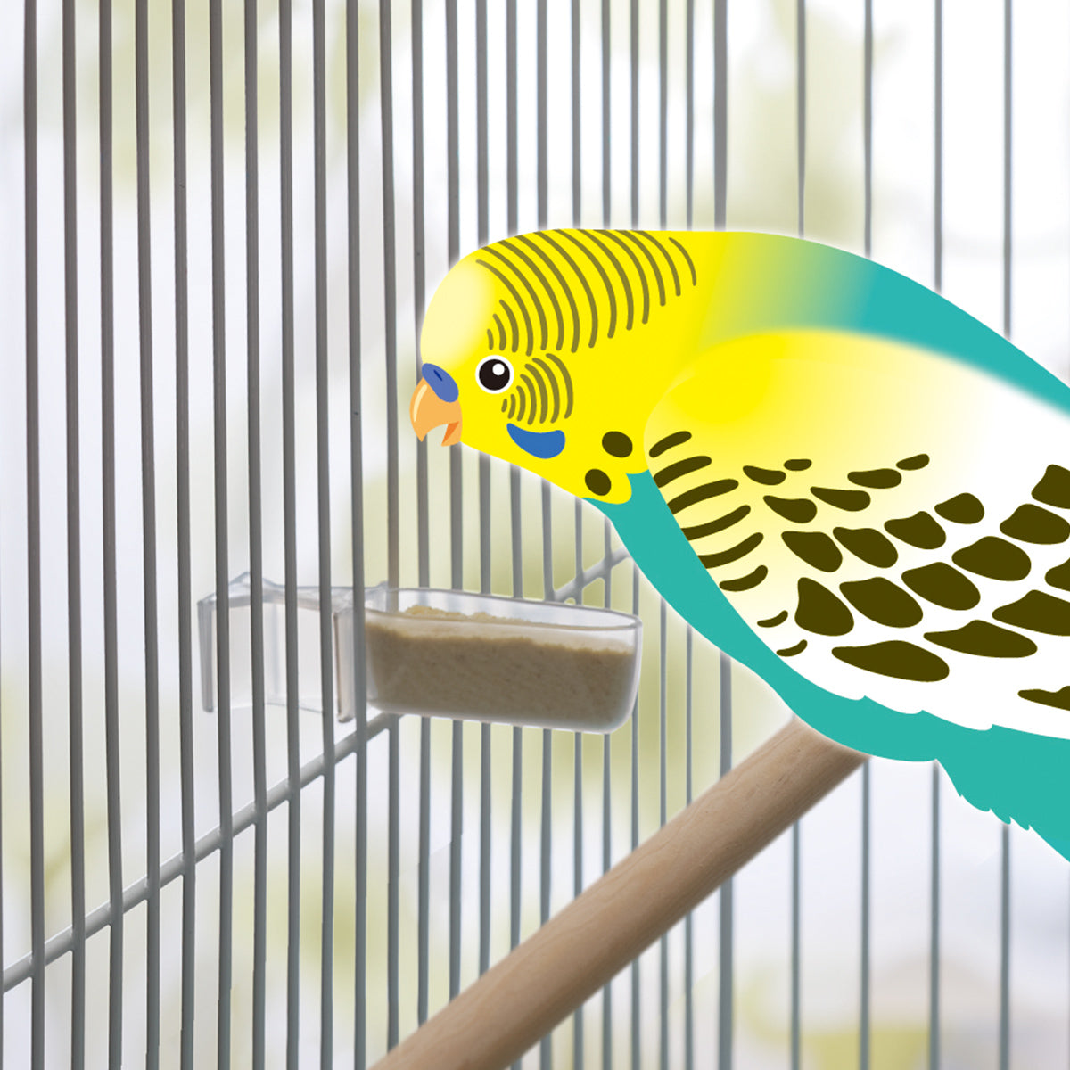 スドー ちょこっとクリアフィーダー(3個入)×48袋