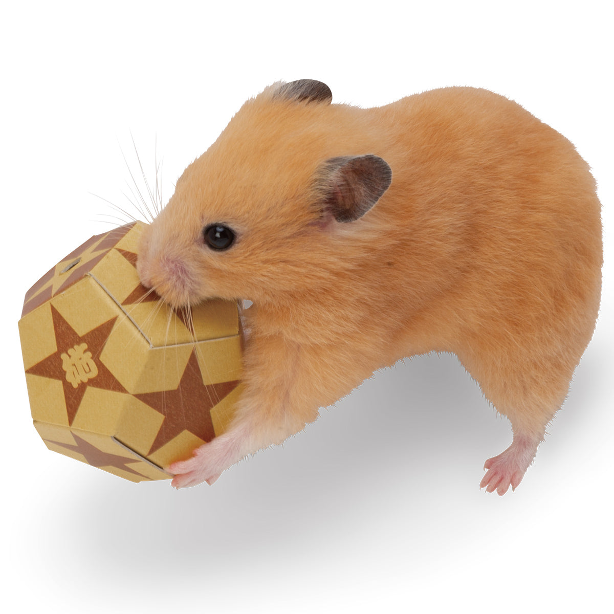 スドー ころころ忍術玉×36箱