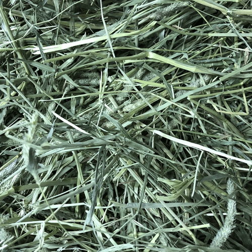 オリミツ ロングマット 1kg×10点