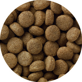 ペットライン メディコートアドバンス アレルゲンカット 魚&えんどう豆たんぱく 1歳から 2kg(500g×4袋)×4袋