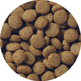 ペットライン メディコートアドバンス グレインフリー 1歳から チキン味 2kg(500g×4袋)×4袋