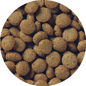 ペットライン メディコートアドバンス グレインフリー 1歳から フィッシュ味 2kg(500g×4袋)×4袋