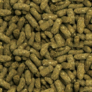 イースター プレミアムレシピ ラビット 毛球&お腹の健康に配慮 シニア 900g(225×4袋)×20袋