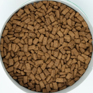 イースター 動物村 フェレットフード メンテナンス 1.5kg(250g×6袋)×12袋