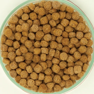 イースター 日本犬 柴専用 成犬用 チキン味 2.2kg×12袋