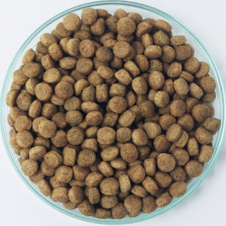 イースター 日本犬 柴専用 鶏三昧 黒帯 子犬~成犬用 2kg×12袋