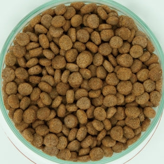 イースター 日本犬 柴専用 高齢犬用 チキン味 2.2kg×12袋