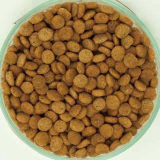 イースター 日本犬 柴専用 高齢犬用 フィッシュ味 2.2kg×12袋