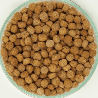 イースター 日本犬 柴専用 成犬用 フィッシュ味 6kg×4袋