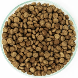 イースター 日本犬 柴専用 鶏三昧 赤帯 中齢~高齢犬用 2kg×12袋