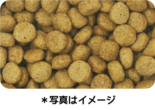 イースター ウェルケア ビーグル専用 アダルト~シニア 2.7kg(900g×3袋)×8袋