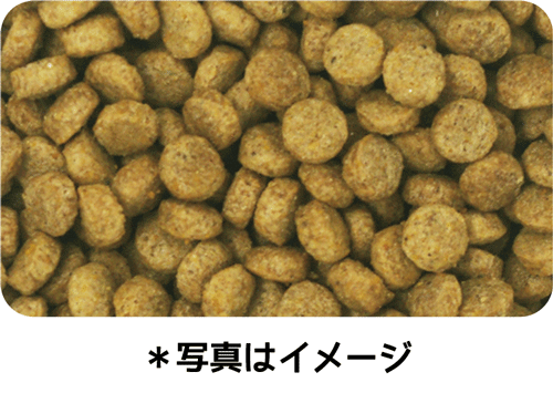 イースター ウェルケア キャバリア専用 アダルト~シニア 2.7kg(900g×3袋)×8袋