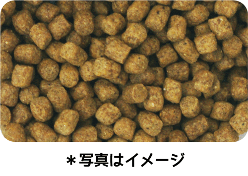 イースター ウェルケア チワワ専用 アダルト~シニア 1.35kg(450g×3袋)×12袋