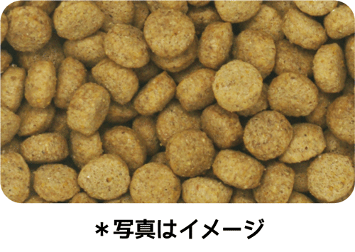 イースター ウェルケア アメリカン・コッカー・スパニエル専用 アダルト~シニア 2.7kg(900g×3袋)×8袋