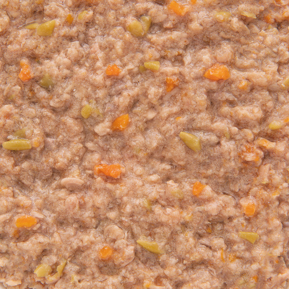 デビフ シニア食 乳酸菌・オリゴ糖配合 150g×24缶