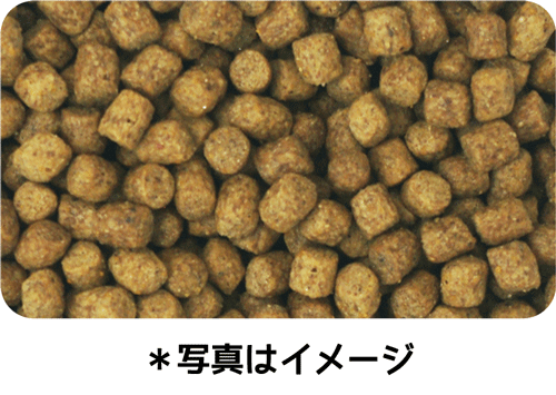 イースター ウェルケア ミニチュア・ダックスフンド専用 アダルト~シニア 1.35kg(450g×3袋)×12袋