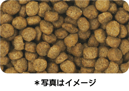 イースター ウェルケア ジャック・ラッセル・テリア専用 アダルト~シニア 2.7kg(900g×3袋)×8袋