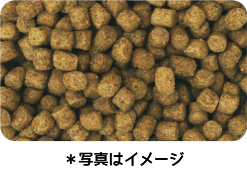 イースター ウェルケア ポメラニアン専用 アダルト~シニア 1.35kg(450g×3袋)×12袋
