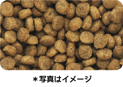 イースター ウェルケア パグ専用 アダルト~シニア 2.7kg(900g×3袋)×8袋