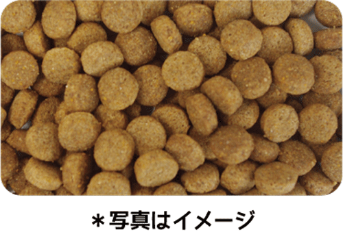 イースター ウェルケア レトリーバー専用 アダルト 6kg×4袋