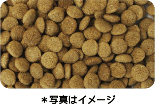 イースター ウェルケア レトリーバー専用 シニア 10kg×2袋