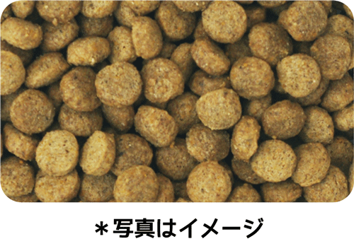 イースター ウェルケア 柴専用 アダルト~シニア 5.5kg×5袋