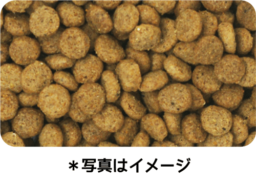 イースター ウェルケア ミニチュア・シュナウザー専用 アダルト~シニア 2.7kg(900g×3袋)×8袋