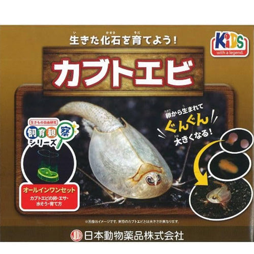ニチドウ カブトエビ飼育観察セット×24セット